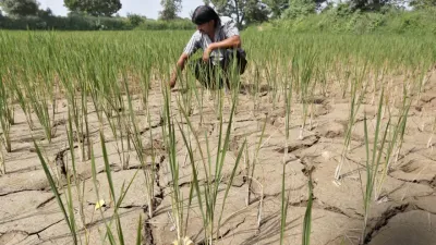 al nino effect in rajasthan  इस बार कम समय रुकेगा मानसून  फसलों पर भी पड़ेगा काफी असर