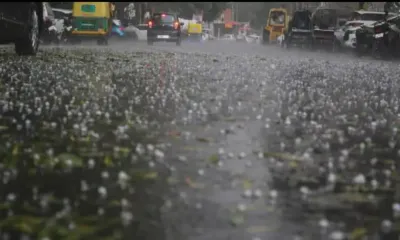 weather change rajasthan  जयपुर में देर रात तक टिप टिप बरसा पानी  बारिश के साथ कई जगह गिरे ओले