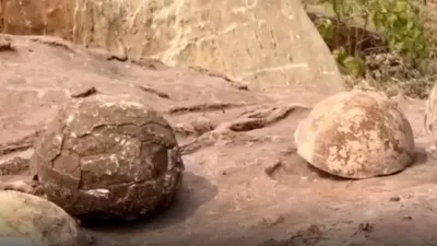 ये क्या  कई सालों से जिन पत्थरों को कुल देवता समझकर पूजते रहे ग्रामीण…वे निकले डायनासोर के अंडे