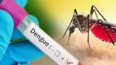 dengue fever  प्रदेश में एक बार फिर डेंगू का  प्रकोप  अब तक 4 हजार से ज्यादा मामले आए सामने  अस्पतालों में 24 घंटे ओपीडी शुरू