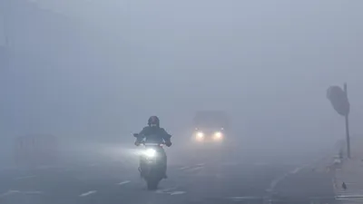 सुबह कोहरा  दिन में बादल और शाम को शीतलहर  जयपुर में बुधवार रहा सीजन का सबसे ठंडा दिन