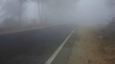 बारिश से प्रदूषण घटा  लेकिन सर्दी बढ़ी…राजस्थान के कई जिलों में सीजन का पहला कोहरा  पारा गिरा
