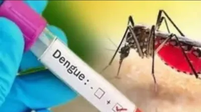 dengue virus  राजस्थान में फिर बढ़ने लगा डेंगू का प्रकोप  आंकड़ें जानकर आप भी रह जाएंगे हैरान