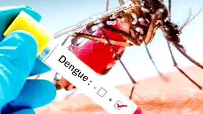 dengue fever  प्रदेश में एक बार फिर डेंगू का  प्रकोप  अब तक 5300 से ज्यादा मामले आए सामने