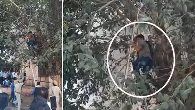 पुलिस दर्ज नहीं कर रही थी शिकायत  युवक ने कलेक्ट्रट परिसर में लगाया पेड़ से फंदा  जानिए फिर क्या हुआ