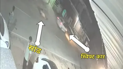 accident news  सांड से टकराने के बाद अनियंत्रित होकर पिकअप से टकराई स्विफ्ट कार  पुजारी की मौके पर मौत