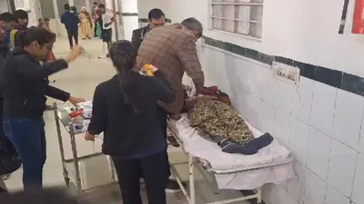 पाली में मजदूरों से भरा लोडिंग टैंपो पलटा  हादसे में 2 की मौत  13 गंभीर घायल