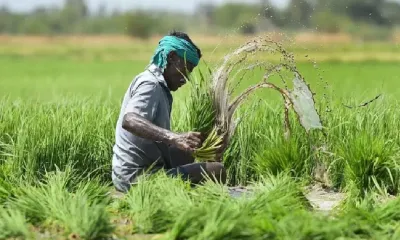 क्या जबरन कर्ज वसूली नहीं कर पाएंगे बैंक  किसानों के कर्जमाफ के लिए गहलोत सरकार का नया फॉर्मूला