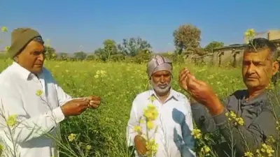 आसमान से पड़ी आफत ने किसानों को रुलाया  अब पाई पाई के लिए आला अधिकारियों के सामने गिड़गिड़ाने को हुए मजबूर