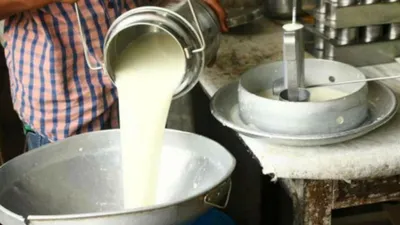 जयपुर वाले 4 साल से पी रहे सफेद जहर…डीग दौसा में क्राइम ब्रांच के छापे  50 हजार लीटर नकली दूध पकड़ा