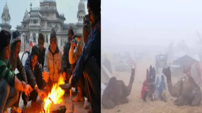 rajasthan weather   ये ठंड है प्रचंड  कोहरे के आगोश में राजस्थान  अभी नहीं मिलेगी राहत