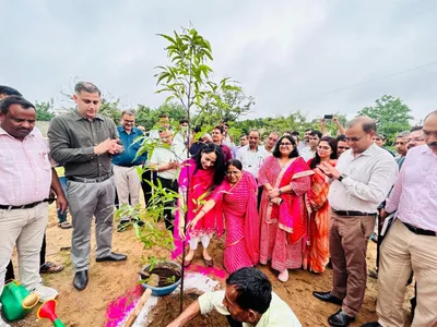  हरियालो राजस्थान  के तहत हरियाली तीज पर लगाए गए करोड़ो पौधे  प्रदेशभर में उत्साह पूर्वक किया वृक्षारोपण