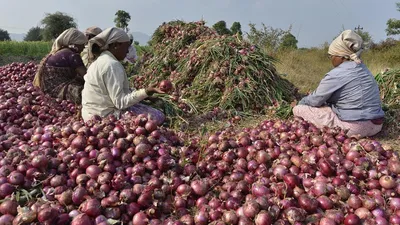 5 राज्यों में होने वाले चुनाव से पहले प्याज ने बढ़ाई केंद्र की टेंशन  क्या इस फैसले से उछाल पर लगेगा अंकुश 