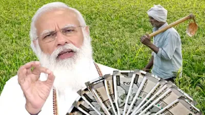 इसी महीने किसानों के खातों में आएगी pm kisan yojana की 14वीं किस्त  घर बैठे ऐसे करें चेक