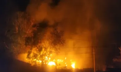जोधपुर में लगी भीषण आग से मची अफरा तफरी  1 दर्जन से ज्यादा गाड़ियों ने 6 घंटे की मशक्कत के बाद पाया काबू