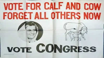 rajasthan election 2023  कभी इंदिरा और संजय गांधी का प्रतीक था कांग्रेस का चुनाव चिह्न ‘गाय बछड़ा’