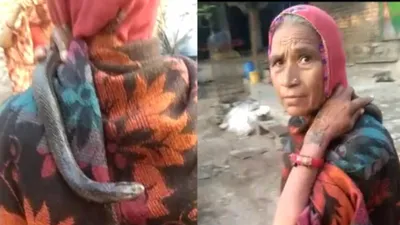  मेरे बेटे का हुआ पुर्नजन्म…  महिला ने सांप को कंधे पर बैठाकर पूरे गांव में घूमी  मारने आए लोगों के जोड़े हाथ