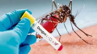 बारिश के मौसम में बढ़ रहा है डेंगू  आप भी न हो जाएं इस बीमारी का शिकार इसलिए अपनाएं ये बचाव तकनीक