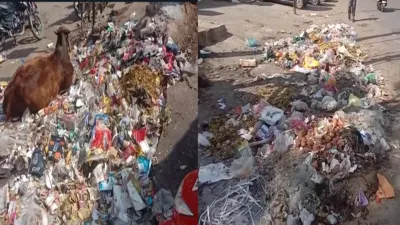 हड़ताल पर कर्मचारी  राम भरोसे शहर की सफाई  जगह जगह लगा कचरे का अंबार