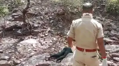 झालावाड़ में बाघेर के जंगलों में मिला युवक का शव  पुलिस मामले की जांच में जुटी