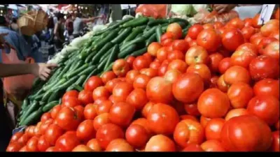 tomato price  टमाटर के बाद हरी मिर्च की कीमतें बढ़ी  जानें कब तक सस्ती हो सकती हैं सब्जियां