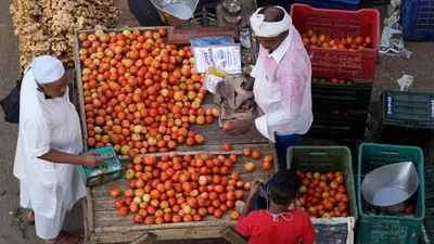  तड़का  लगाना हुआ महंगा  टमाटर पहुंचा 120 रुपए पार  700 रुपए प्रति किलो तक बिक रहा जीरा